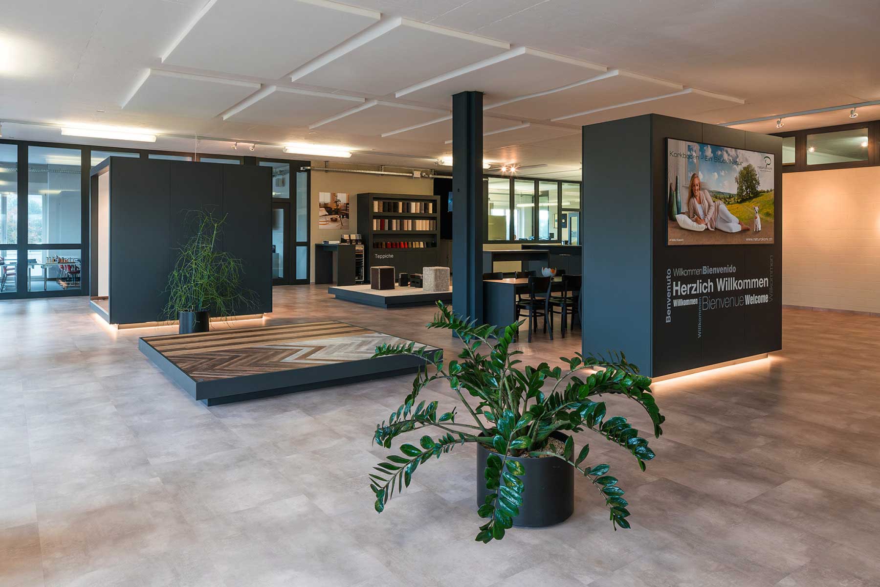 Ein grosser, offener Raum mit einem grossen Tisch und einer Pflanze in der Ecke.  