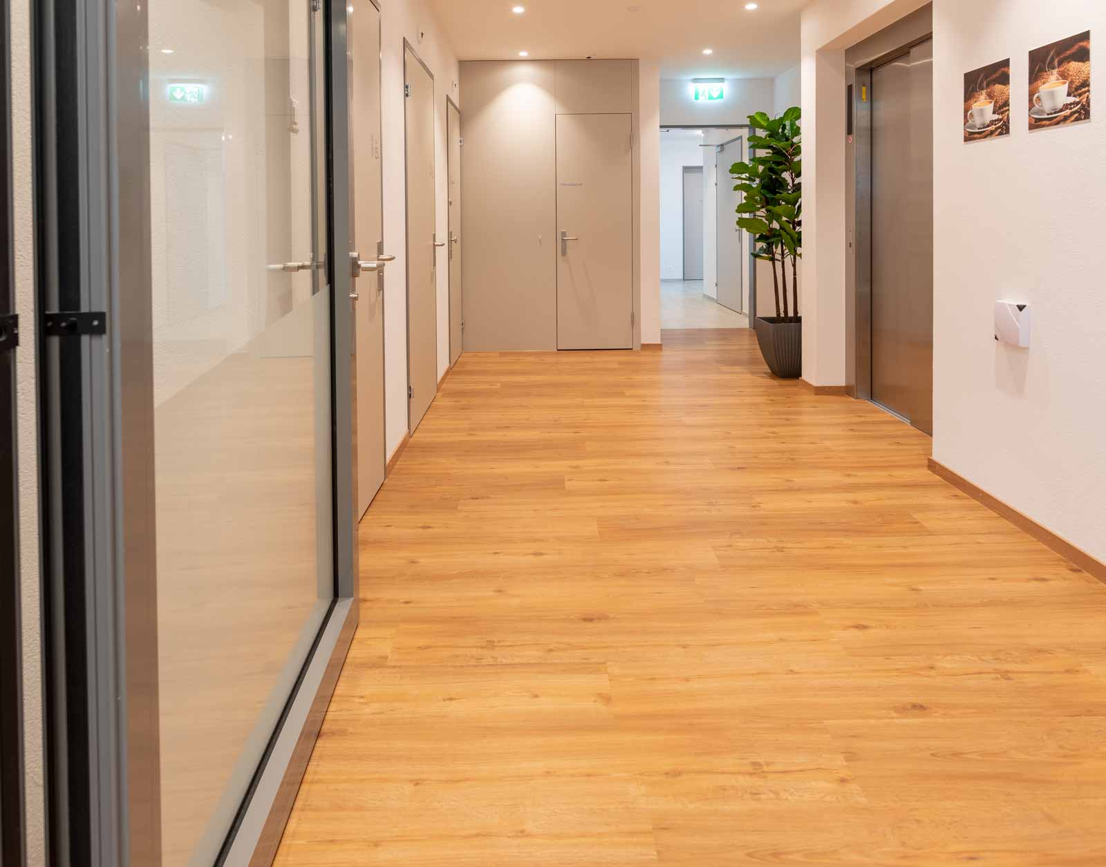 Design Vinyl – Casa Solaris Kollbrunn