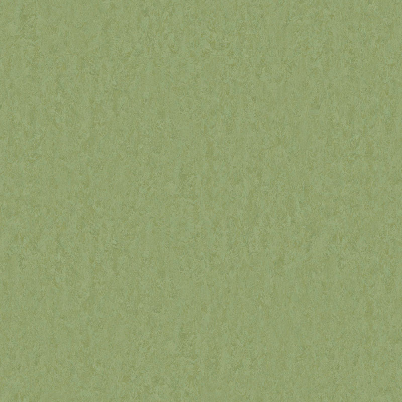 Schilfgrün