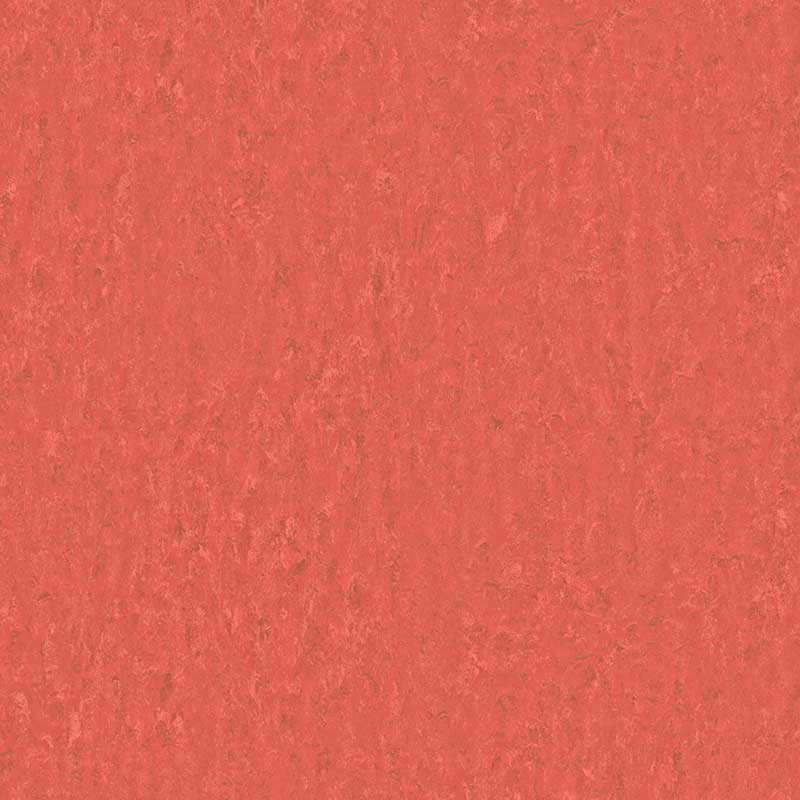 15217-linoleum-ii-select-terra