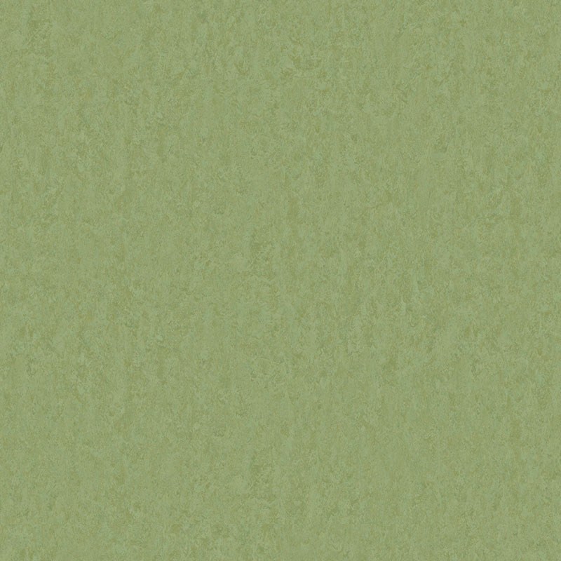 Schilfgrün