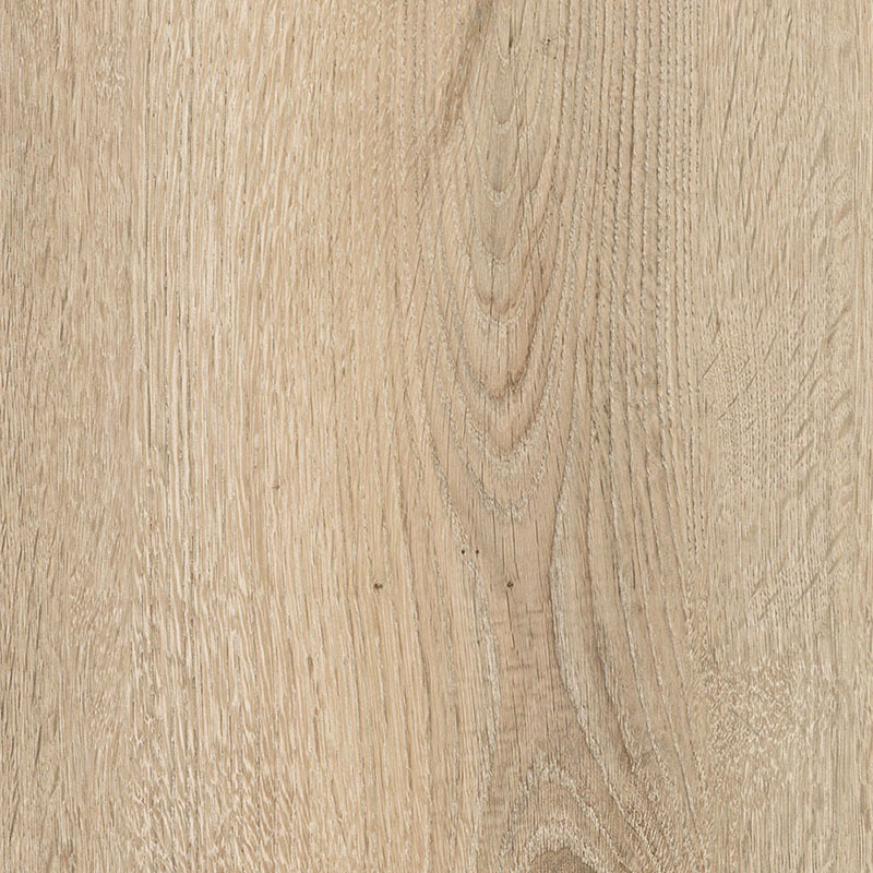 Eiche Rhein Sand