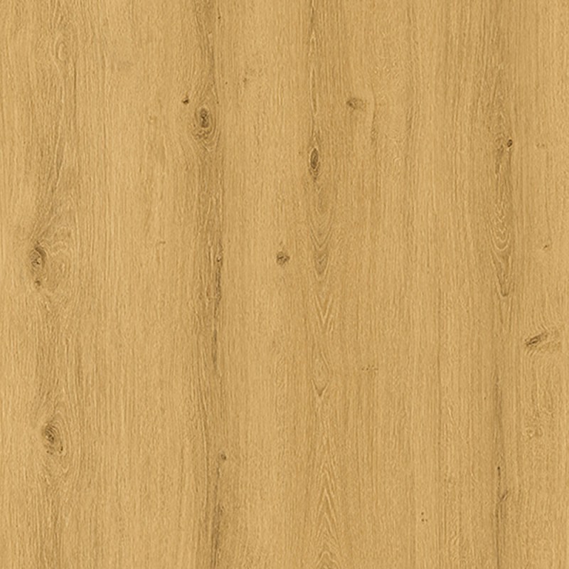 Eiche naturo