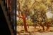 naturo-wall-individual-design-lico-02